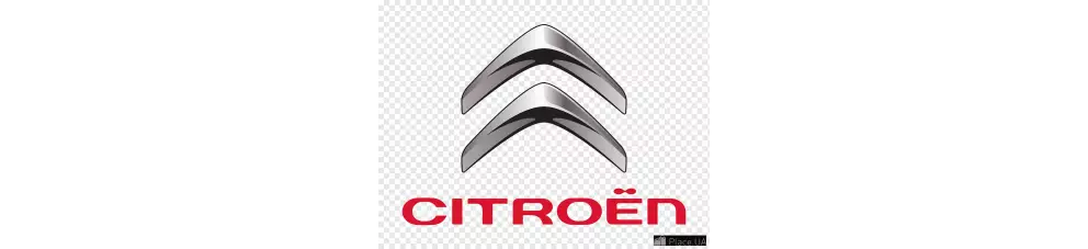 Citroen Ekran Koruyucuları