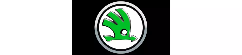 Skoda Ekran Koruyucuları